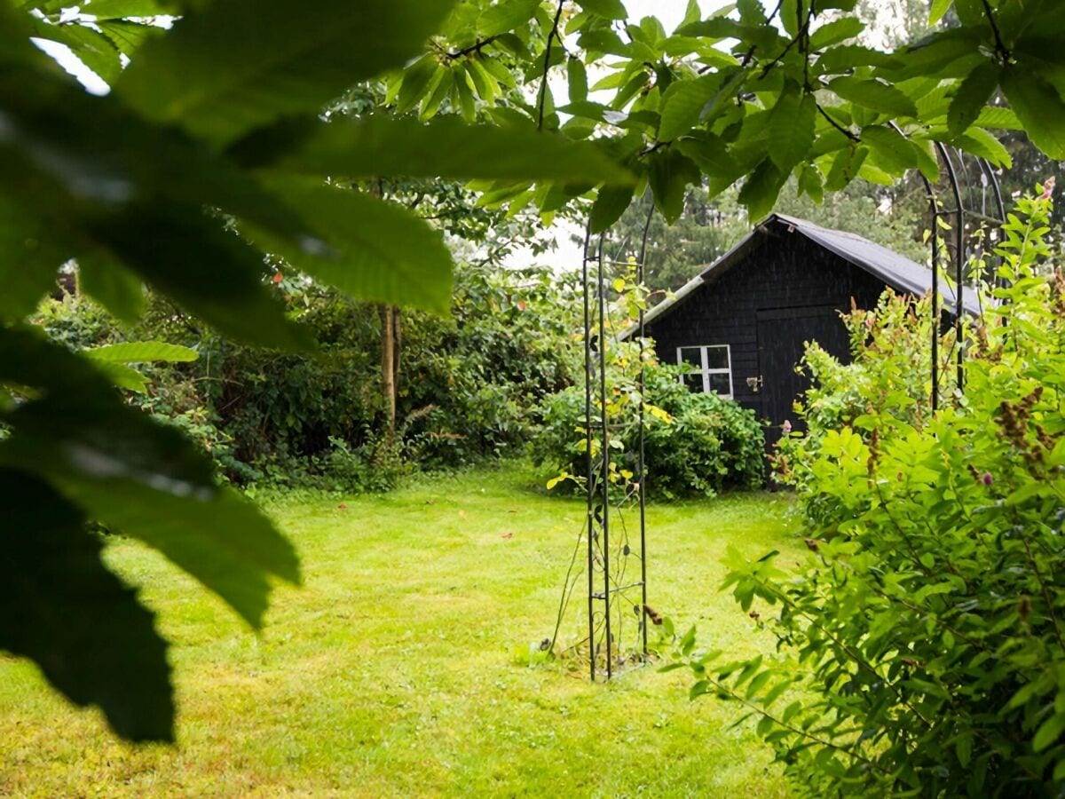 Ferienhaus Froidchapelle Außenaufnahme 11