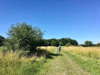 Holiday house Froidchapelle Environment 27