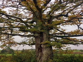 Holiday house Froidchapelle Environment 29