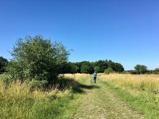 Casa de vacaciones Froidchapelle Entorno 23