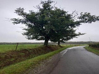 Ferienhaus Froidchapelle Umgebung 29