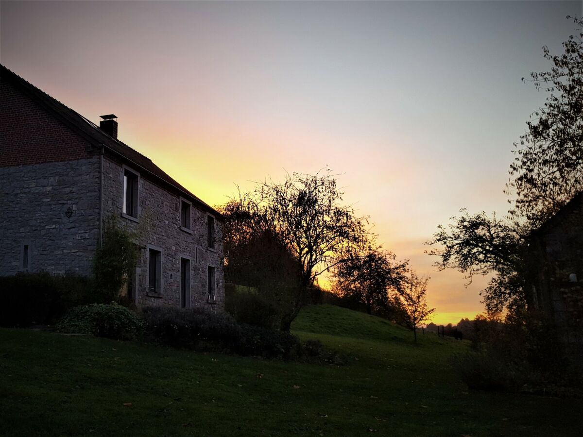 Ferienhaus Chimay Außenaufnahme 9