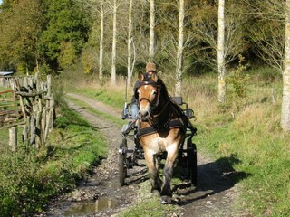 Cottage Houffalize Umgebung 28