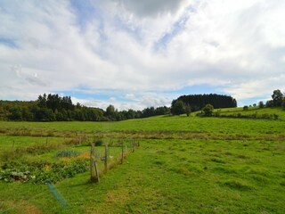 Vakantiehuisje Houffalize Omgeving 30