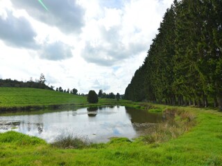 Maison de vacances Houffalize Environnement 33