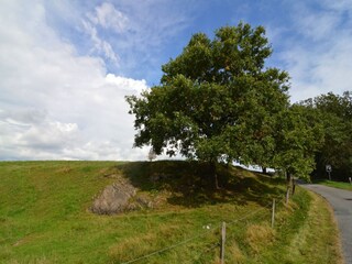 Vakantiehuisje Houffalize Omgeving 27