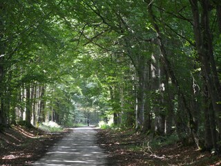 Castle Bastogne Environment 30
