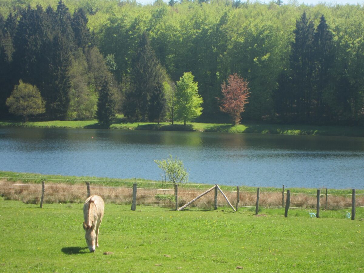 Ferienhaus Houffalize Umgebung 30