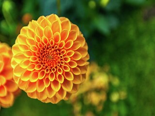 Maison de vacances Houffalize  36