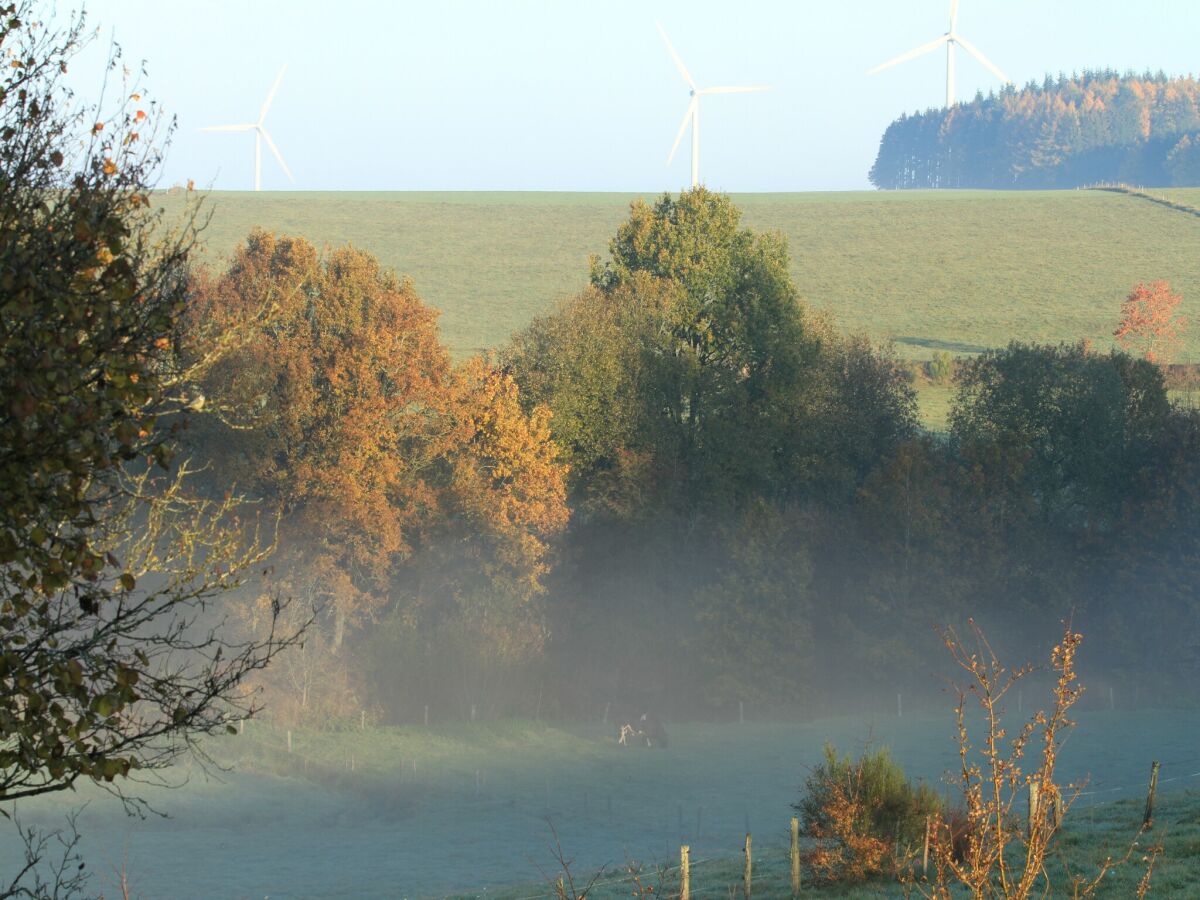 Cottage Bastogne Außenaufnahme 7