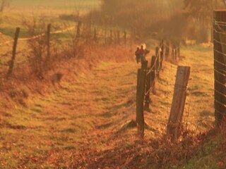 Casa vacanze Bastogne Ambiente 37