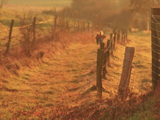 Casa vacanze Bastogne Ambiente 37