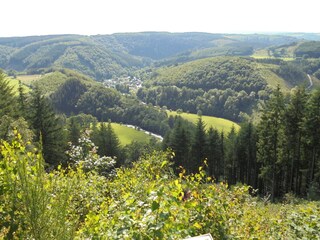 Holiday house Bertogne Environment 35