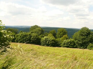 Ferienhaus Bertogne Umgebung 27