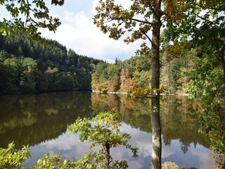 Vakantiehuis Bertogne Omgeving 28