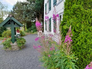 Ferienhaus Bertogne Außenaufnahme 17