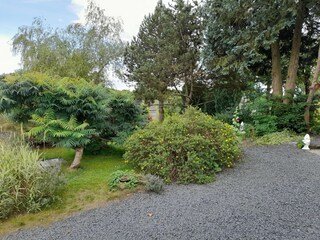 Ferienhaus Bertogne Außenaufnahme 18