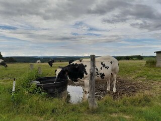 Casa per le vacanze Bertogne  38