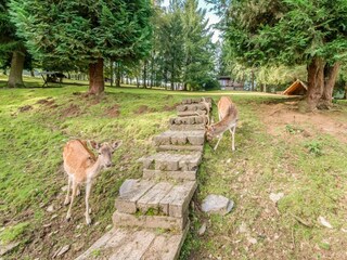 Vakantiehuis Houffalize Kenmerken 15