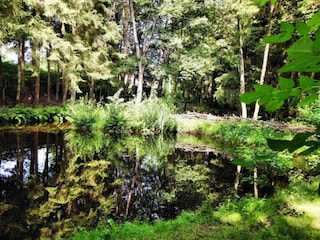 Ferienhaus Houffalize Umgebung 21