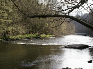 Ferienhaus Houffalize Umgebung 34