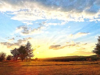 Maison de vacances Houffalize Environnement 35