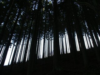 Vakantiehuis Houffalize Omgeving 17