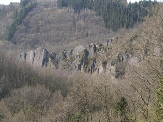 Maison de vacances Houffalize Environnement 31