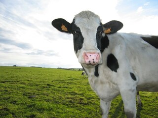 Casa per le vacanze Houffalize Ambiente 34