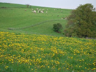 Maison de vacances Houffalize Environnement 24