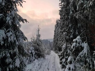 Casa per le vacanze Houffalize Ambiente 37