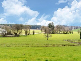 Appartement Houffalize Environnement 34
