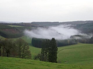 Apartment Houffalize Umgebung 38