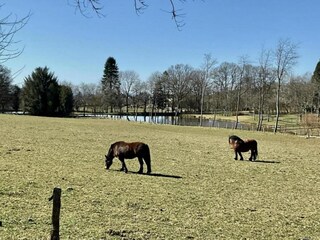 Apartamento Houffalize Entorno 32