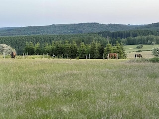 Apartamento Houffalize Entorno 29