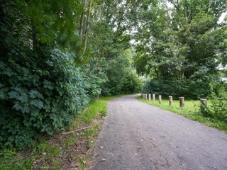 Maison de vacances Houffalize Environnement 31