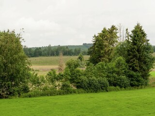 Maison de vacances Burg-Reuland Environnement 32