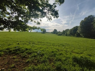 Holiday house Vielsalm Environment 38