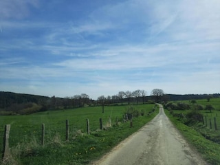 Holiday house Vielsalm Environment 34