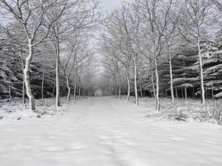 Ferienhaus Vielsalm Umgebung 49