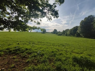 Vakantiehuis Vielsalm Omgeving 30