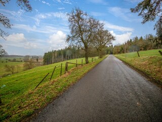 Farmhouse Houffalize Environment 34