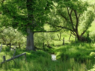 Boerderij Houffalize Buitenaudio-opname 5