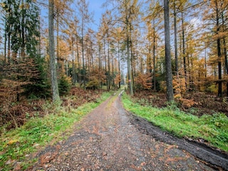 Vakantiehuis Gouvy Omgeving 37