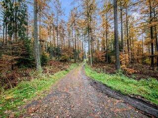 Vakantiehuis Gouvy Omgeving 36