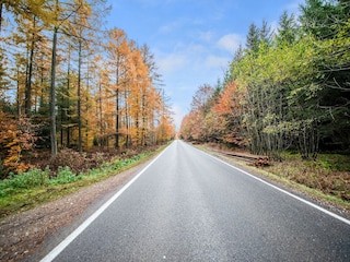 Maison de vacances Gouvy Environnement 32