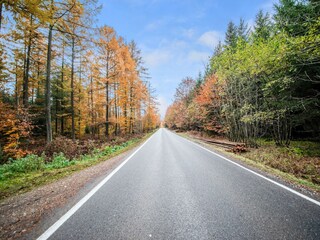 Vakantiehuis Gouvy Omgeving 32