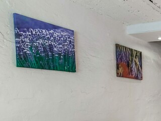 Casa per le vacanze Gouvy  38