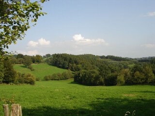 Cottage Lierneux Umgebung 33