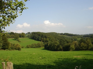 Holiday cottage Lierneux Environment 35